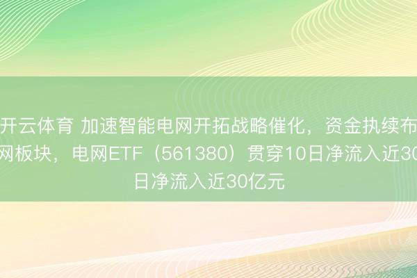 开云体育 加速智能电网开拓战略催化，资金执续布局电网板块，电网ETF（561380）贯穿10日净流入近30亿元