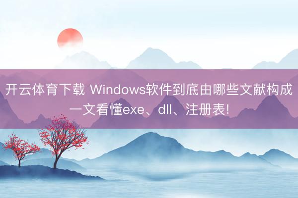 开云体育下载 Windows软件到底由哪些文献构成一文看懂exe、dll、注册表!