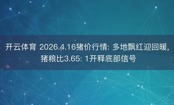 开云体育 2026.4.16猪价行情: 多地飘红迎回暖， 猪粮比3.65: 1开释底部信号