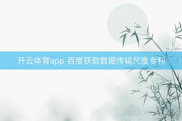 开云体育app 百度获取数据传输尺度专利
